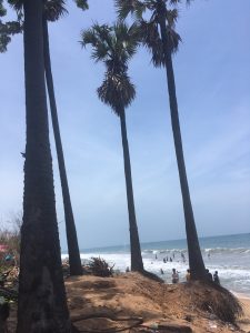 Beach near Auroville, India