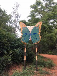 Near Youth Centre, Auroville, India