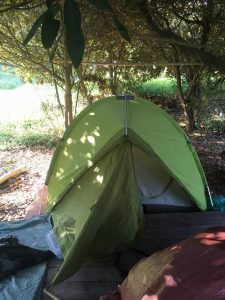 Our tent hidden in trees off Hyeopjae Beach, Jeju