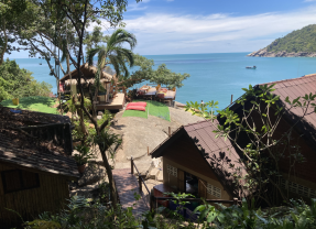 A Tropical Gem for Digital Nomads in Koh Phangan