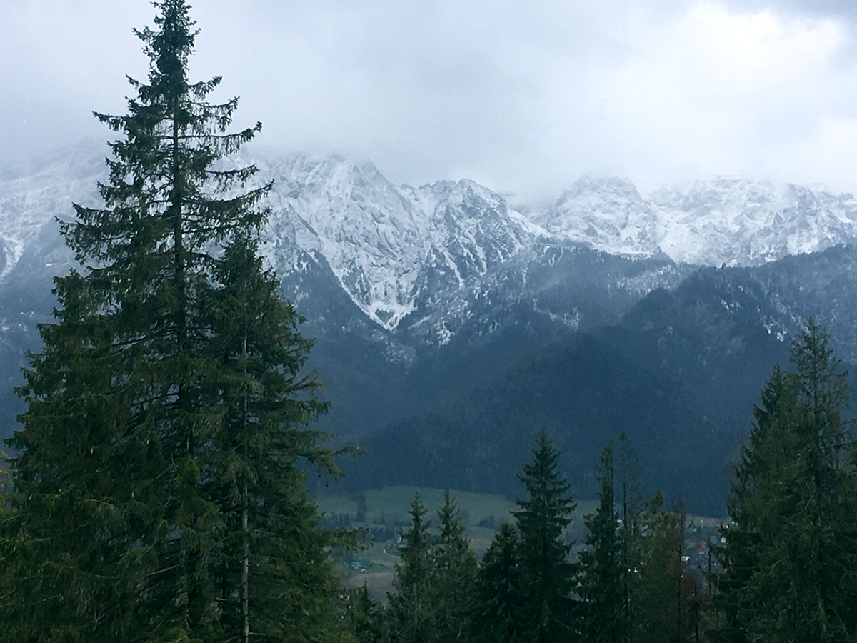 Through the forests and mountains of Zakopane