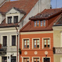 Slowing Down Life in Krakow